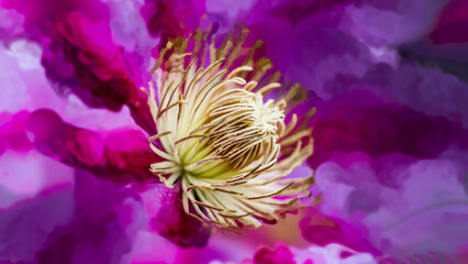 The Clematis are blooming in late Spring and Early Summer this year in Windsor in Upstate NY....