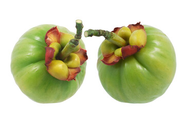 Garcinia atroviridis fruit isolated on white background
