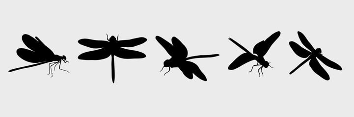 Silhouette of a dragonfly