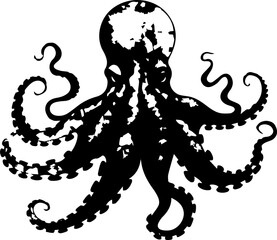octopus animal images