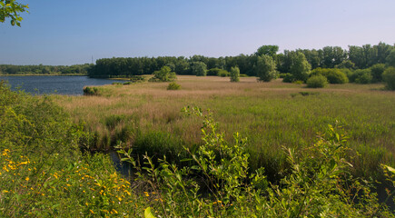 Belgium, Harchies - June 5, 2023 : beautiful view of the Harchies marshes