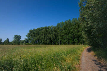 Belgium, Harchies - June 5, 2023 : beautiful view of the Harchies marshes
