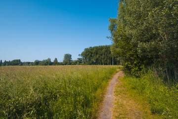 Belgium, Harchies - June 5, 2023 : beautiful view of the Harchies marshes