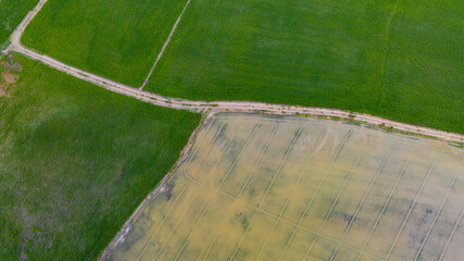 Top view of beautiful terraced rice fields in the water season and irrigation from drone, the top view