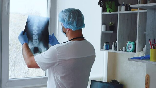  Doctor in the office with an x-ray of the patient's back. The doctor analyzes the disease, x-ray of the spine. Diagnosis and therapy of osteochondrosis. The surgeon diagnoses the spine. Spinal injury