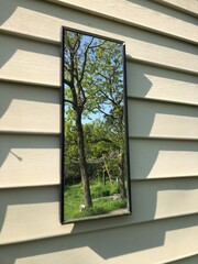 window with grass