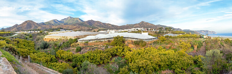 Plastic greenhouses for vegetable cultivation and avocado plantation on the Andalusian coast, Spain