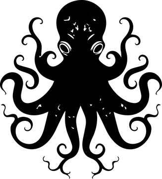 octopus animal images