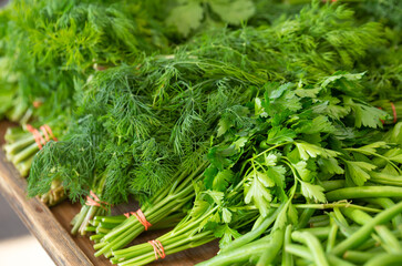 Fresh cut dill and cilantro herbs at a local farmer's market