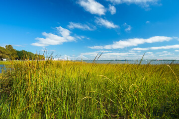 Popular Waterfront Park along the bay in Charleston, South Carolina
