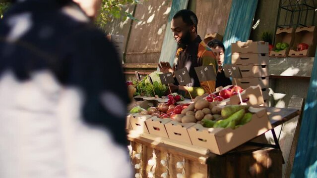 African american man giving natural bio organic products box to people, various eco produce. Female person buying locally grown fruits and vegetables at street market stand, small business.