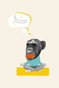 Vertical picture of headless absurd monkey chimpanzee primate animal thoughts dream about banana sit retreat isolated on beige background