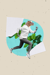 Creative composite design collage illustration of headless camel wildlife running animal hurry up...