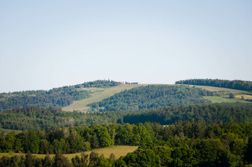 Krajobrazy, łąka latem, 