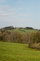 Droga leśna, lasy, las, krajobraz, łąki