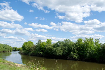 deep river with dark water Sunny day Blue sky with white clouds Active recreation Sport Hobby Reflection of trees in river water Ukraine river Styr