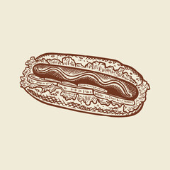 vintage style hand drawn hot dog illustration