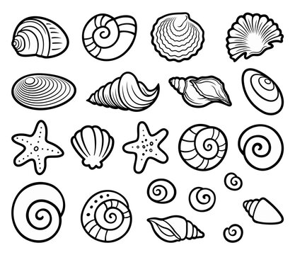 Cartoon set of cute doodle shells.