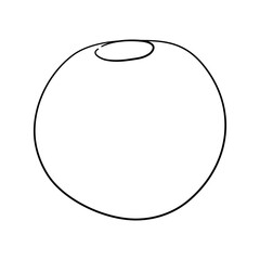 Blueberry. Hand drawn outline doodle icon. Transparent isolated on white background. Vector illustration.