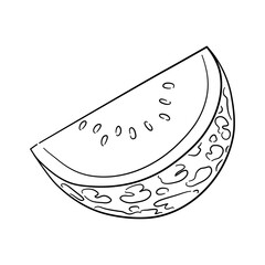 Vintage line art icon with Watermelon sketch isolated on white background. Hand drawn vector illustration for web design.