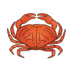 Crab