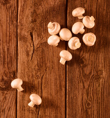  Kleine Champignons auf Holzfond