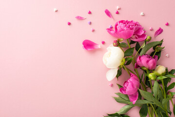 Obraz na płótnie Canvas Tender peonies concept. Top view photo of empty space with bunch of bright pink and white peony flowers and buds with small confetti hearts on isolated pastel pink background with copy-space