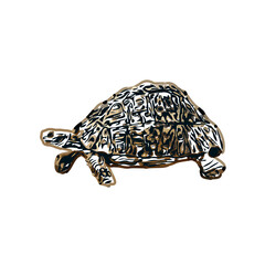 Color sketch of a freshwater turtle with transparent background