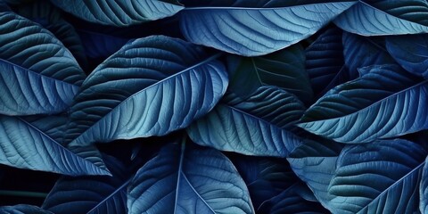 Botanical background of macro leaf texture patterns in deep dark pacific blue color, wide banner size