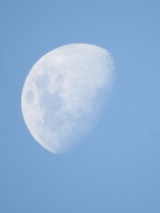 moon during the day
heart in snow