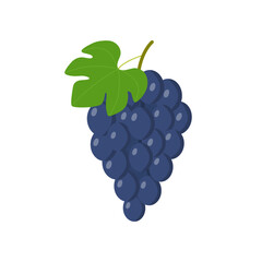 Grapes blue isolated on white background.