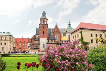 Fototapeta na wymiar Cathedral of Saints Stanislav and Wenceslas in Wawel Castle in Krakow, Poland