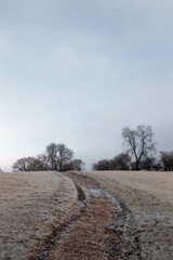 Mañana de invierno se senderismo en Peak District, UK - obrazy, fototapety, plakaty