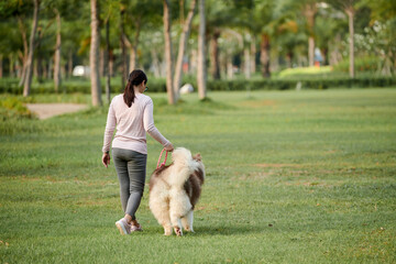 Woman walking with big fluffy dog in city park, view from behind