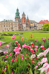 Cathedral of Saints Stanislav and Wenceslas in Wawel Castle in Krakow, Poland