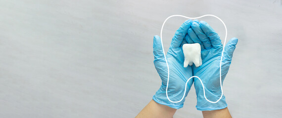 Female dentist hand in blue medical gloves holds tooth molar and Thin linear outline icon. Tooth...