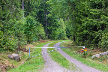 Dirt road in a forest with a boom barrier