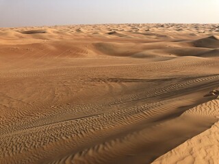 sand dunes in the desert