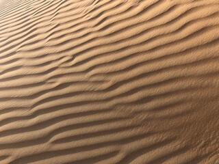 sand ripples in the desert