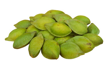 Natural Catappa bean pile with transparent background isolated
