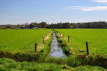 HDR photo of a green agricultural field, with a narrow river in the middle with flowing water...