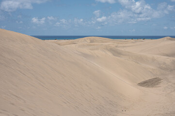 Fototapeta na wymiar Natural landscape of the dunes of Maspalomas
