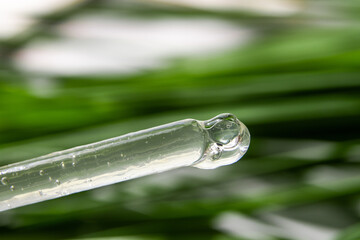 Dropping current transparent gel from an eyedropper against a background of green leaves