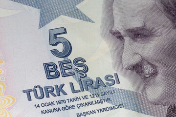 close up of five Turkish liras