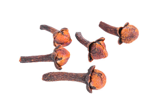 cloves spices on transparent png