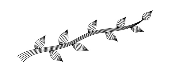 line art branch on white background