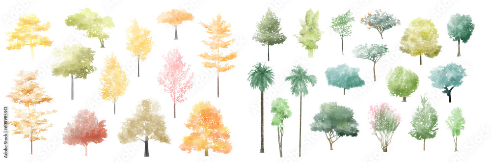 Aufkleber tree watercolor vector illustration, minimal style tree painting hand drawn, side view, set of graph