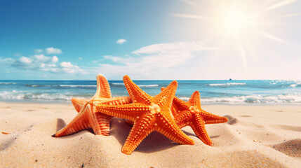 Fototapeta na wymiar Starfish on the summer beach. Summer background. 