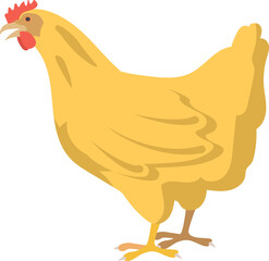 Domestic Chicken set. Different hens, rooster, Various breed. Easter, organic eco food concept. Design elements. Cute farm animals vector illustration.