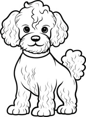 Poodle. Dog, colouring book for kids, vector illustration